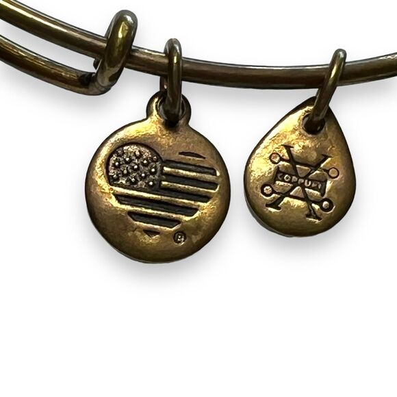 Alex and Ani Energy Womens Bangles Charm Bracelets Set of 2 Fashion Jewelry - Picture 6 of 16